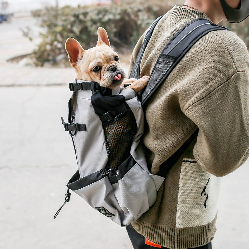 Travel Buddy Pet Backpack