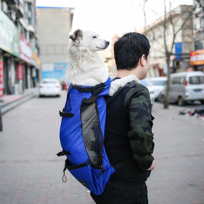 Travel Buddy Pet Backpack