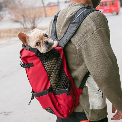 Travel Buddy Pet Backpack